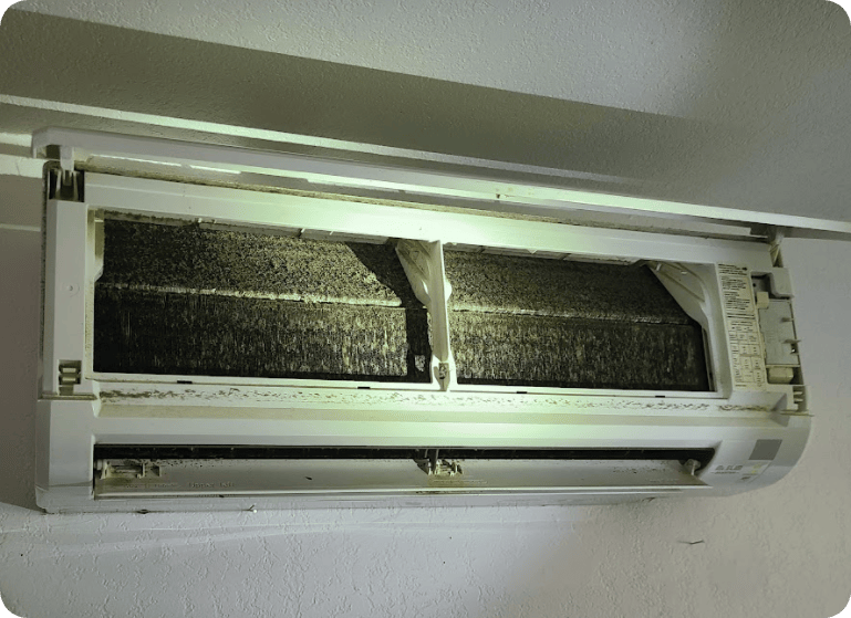 A Ductless System Can Get Moldy If Not Taken Care Of