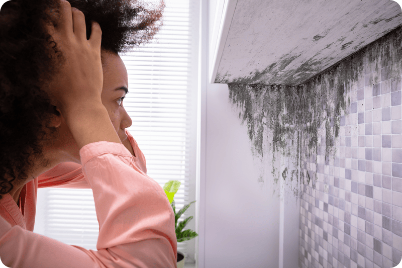 Vertigo And Black Mold In Your Home: Are They Related?