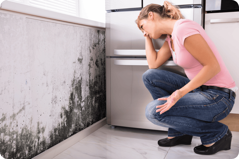 Are You Moving? Don’t Take Your Black Mold With You!