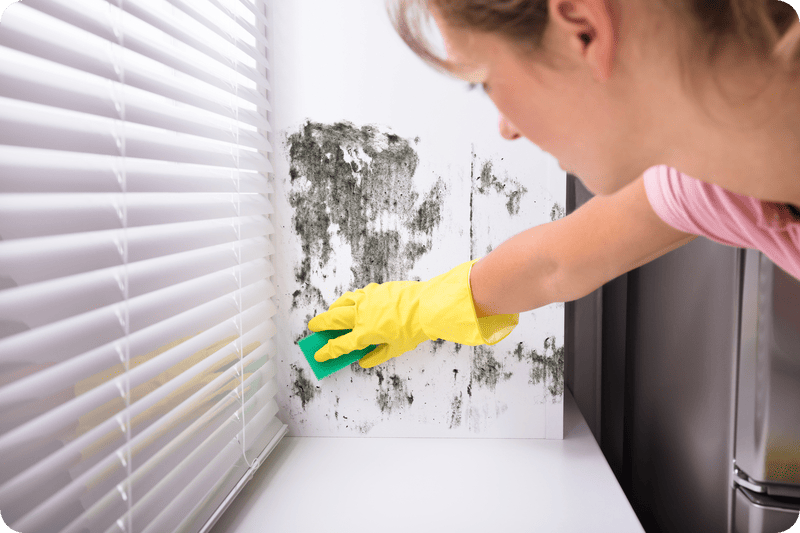 Five Common Signs Of A Mold Problem In Your Home (And More)